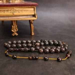 ظهر سلحفاة بالفضة المميزة